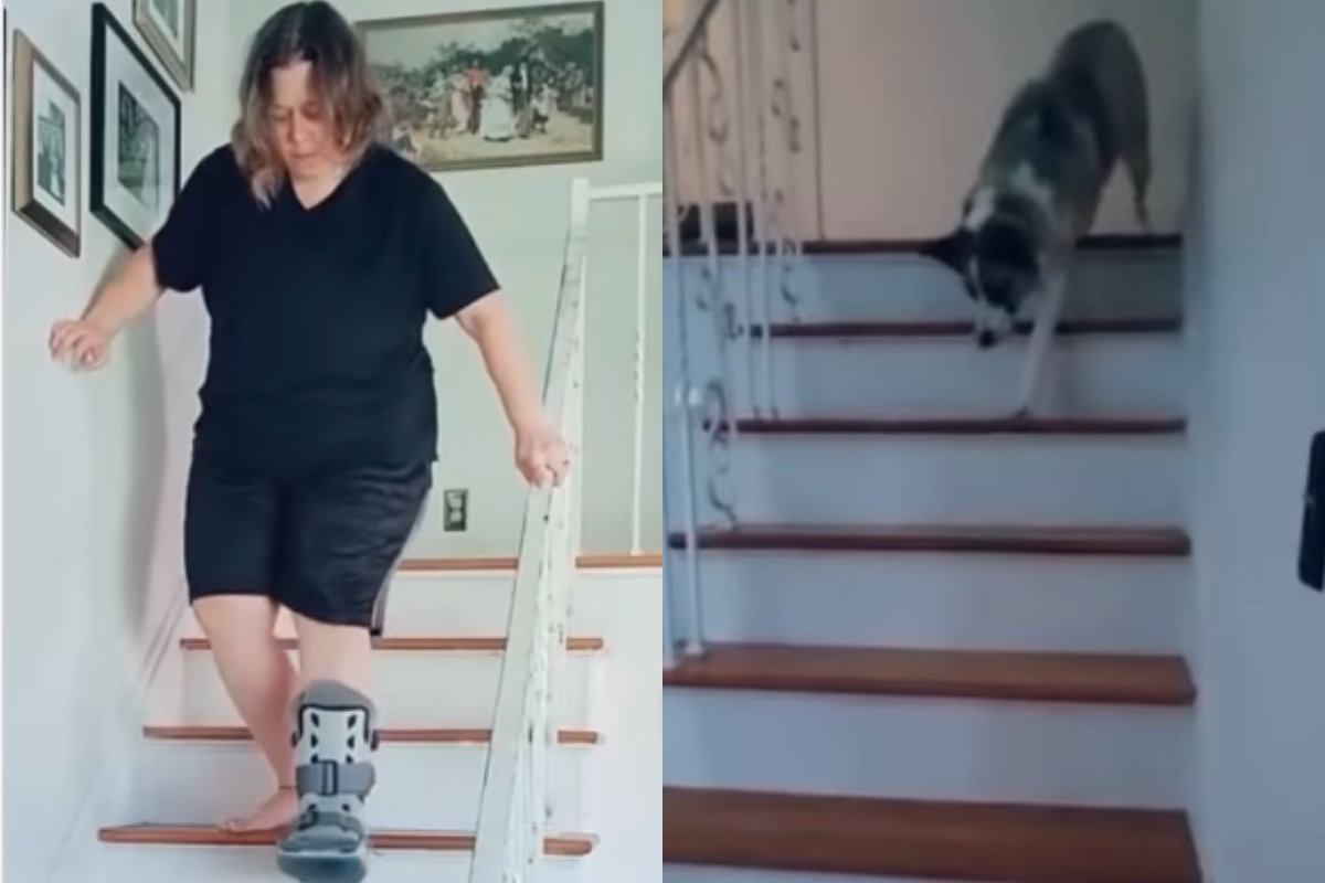 Dog tries to copy