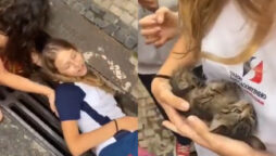Girls rescue kitten from drain, melting netizens’ hearts