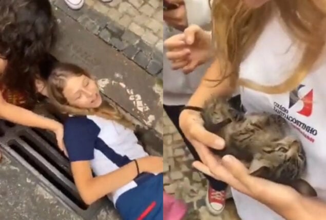 Girls rescue kitten from drain, melting netizens’ hearts