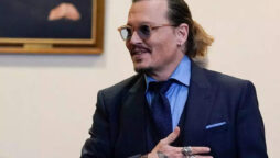 Johnny Depp is not fan of royal family
