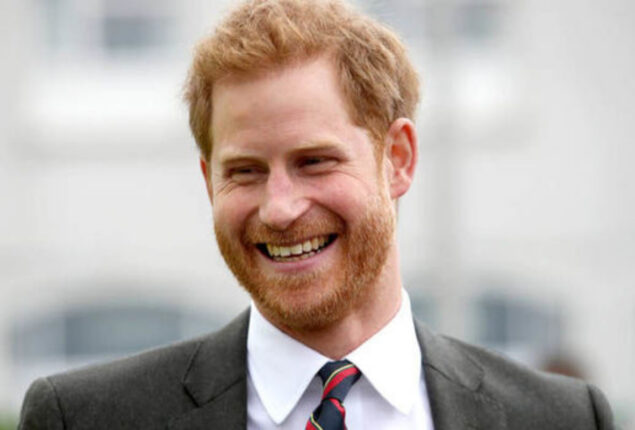Prince Harry acted as jester at Camilla’s wedding