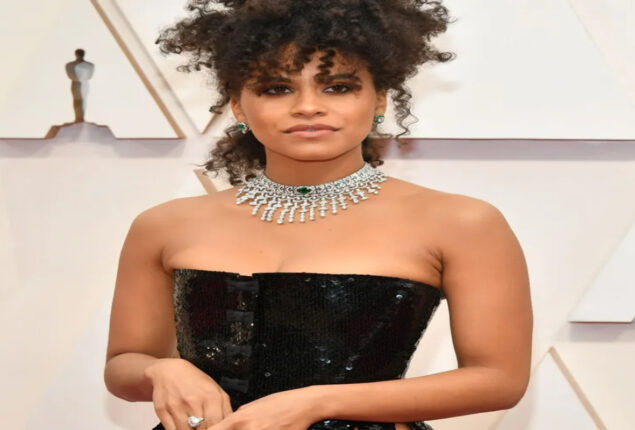 Zazie Beetz: Joaquin Phoenix, Lady Gaga film makes sense