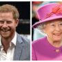 Prince Harry wants to “pull the rug” from below Princess Elizabeth
