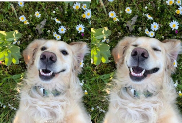 People can’t determine which Finn ‘selfie’ is cutest