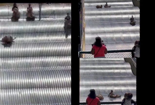 Vidoe of giant slide made people laugh and fear; Watch