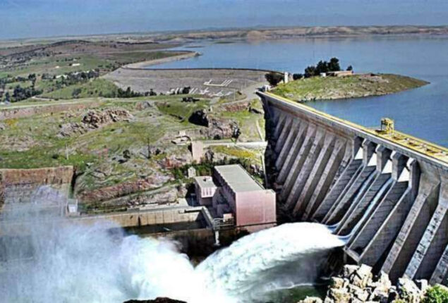 Pakistan wasting water worth around $2 billion: minister