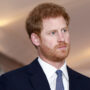 Prince Harry files second lawsuit against UK govt
