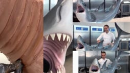 Pastry chef makes huge sculptures out of chocolate shark; Watch viral