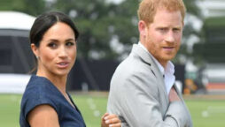 Prince Harry and Meghan Markle get new dog for their children