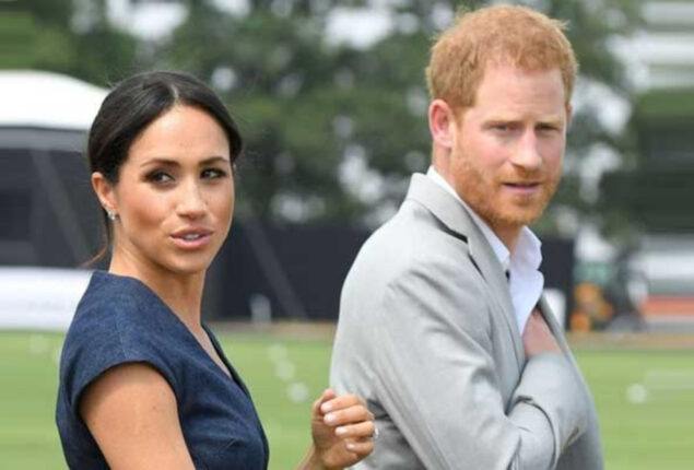 Prince Harry and Meghan Markle get new dog for their children