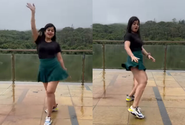 SpiceJet hostess dances to Chamma Chamma, wows netizens