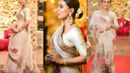 Ushna Shah looks ravishing in beautiful saree