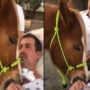 Viral Video: Patient cries while therapy horse comforts him