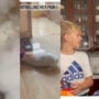 12-year-old boy gets a puppy for his 12th birthday