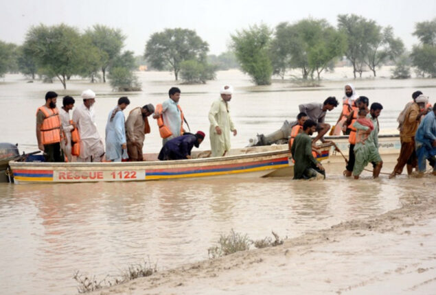 Flood claims lives of 187 people, 2023 others injured in Punjab: PDMA