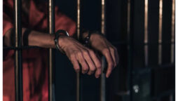 Kenya police arrests suspect involved in US wildlife smuggling