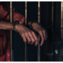 Kenya police arrests suspect involved in US wildlife smuggling