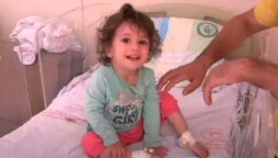 2-year-old girl kills snake that bit her on the lip while playing