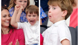 Royal photographer struggles to take Prince louis photographs