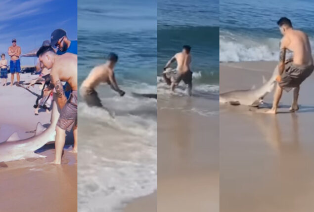 Man wrestles with shark at Smith Point Beach goes viral| Watch