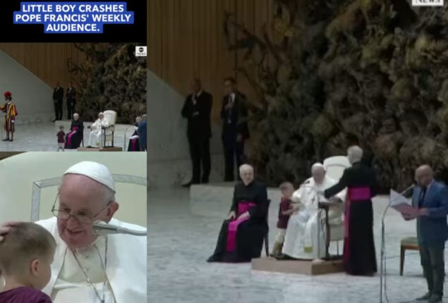 little boy interrupted Pope Francis’ weekly audience; Watch viral