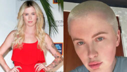 Ireland Baldwin reveals her new look on social media