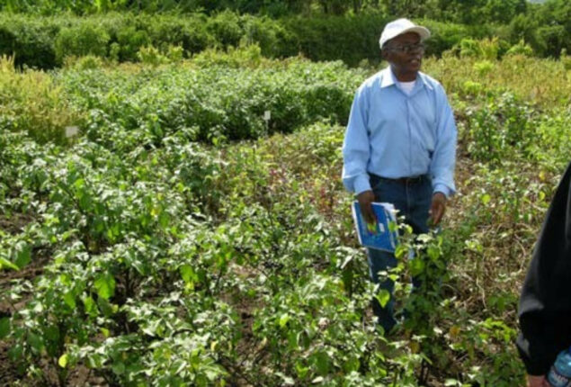 Unisame calls for taking benefit of indigenous crops