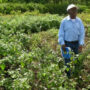 Unisame calls for taking benefit of indigenous crops