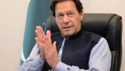Imran Khan granted bail by ATC in terror case