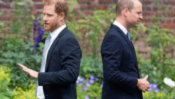 Prince Harry & Prince William fight over “unfriendly” attitude of Royal Family towards Meghan Markle