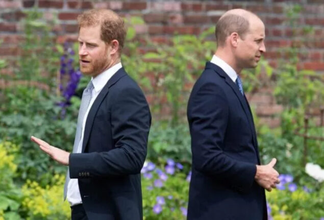 Prince Harry & Prince William fight over “unfriendly” attitude of Royal Family towards Meghan Markle