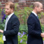Prince Harry & Prince William fight over “unfriendly” attitude of Royal Family towards Meghan Markle