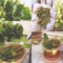 Popeye Palak Paneer and the Rest!