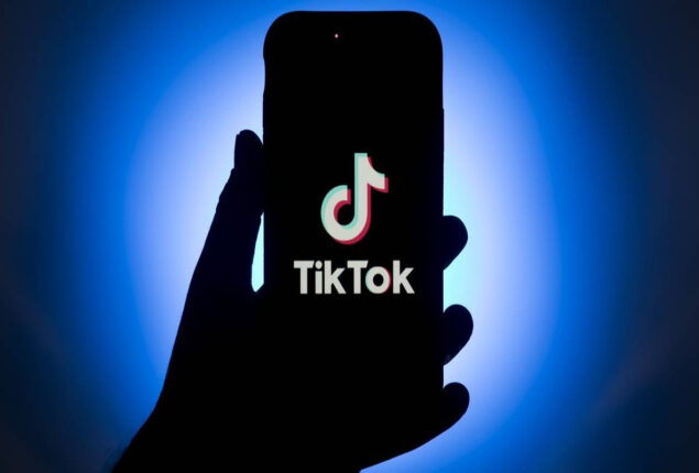 TikTok adds a new text-to-image AI filter