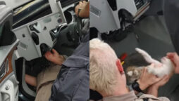 Richmond firefighters rescued kitten from car’s dashboard