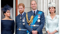 Kate, William, and Queen won’t be hurt by Prince Harry’s memoir
