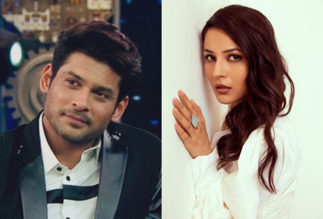 Shehnaaz Gill disguised her grief over Sidharth Shukla’s death