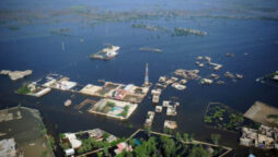 crops destroyed in Sanghar