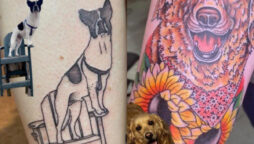 Pet company gives $150 for puppy tattoos 
