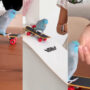 Watch: Pet parrots skate on a ramp video goes viral