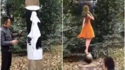Viral Video: Artist creates 3D painting optical illusion on tree trunk