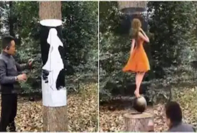 optical illusion painting