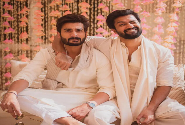 Vicky Kaushal reveals that Sunny Kaushal is engineer of the house