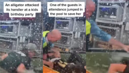 Alligator attacked on the women in the birthday party; See Video