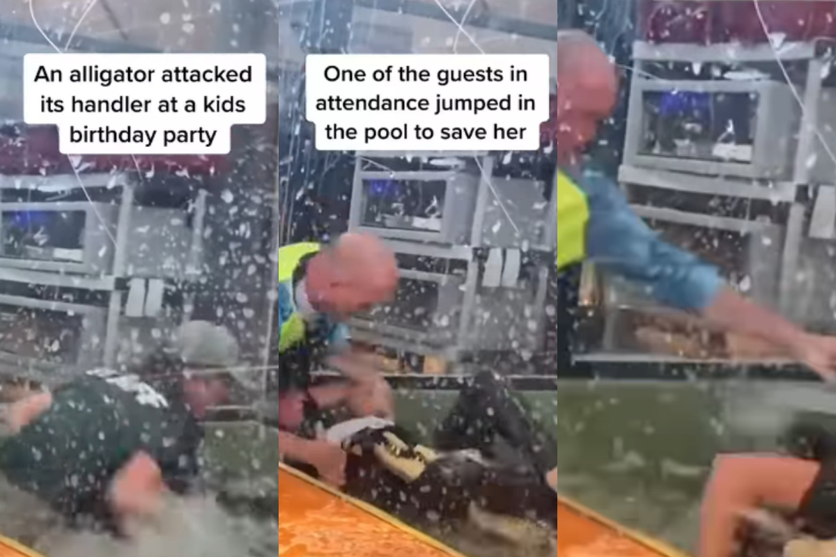 Alligator attacked women