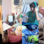 Goldendoodle visiting children’s hospital has gone viral; Watch