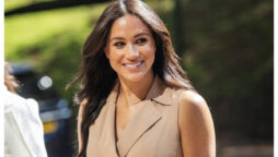 ‘Vindictive’ Meghan Markle seeks “royal revenge”