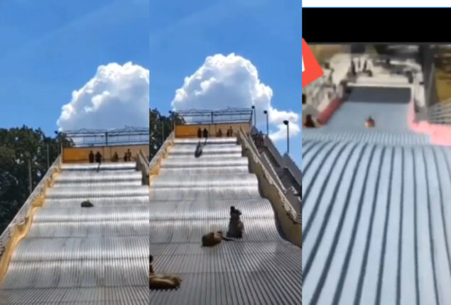 Michigan’s giant slide shut down after viral video; watch