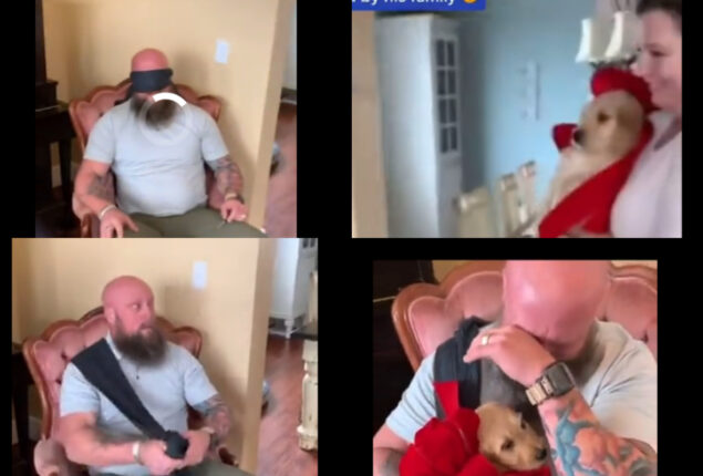 Family gives dog-losing man the best gift; watch viral