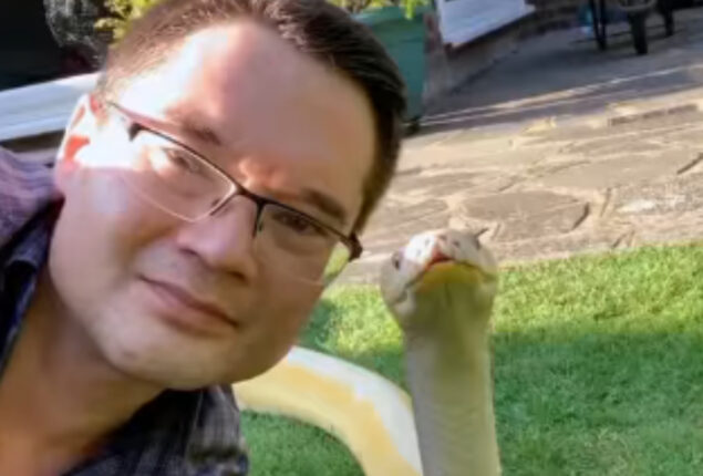 Viral: Man takes a selfie with python 